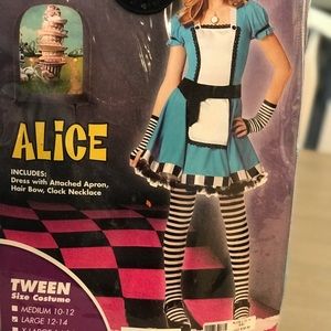 Tween Large Alice in Wonderland Halloween Costume